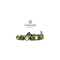 Bracelet Tamashii Mantra in Tissu Pietre dure BHS200-19 - BHS200-19
